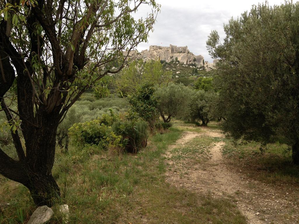 La Maison Du Peintre En Provence Bed & Breakfast Mallemort Exterior foto